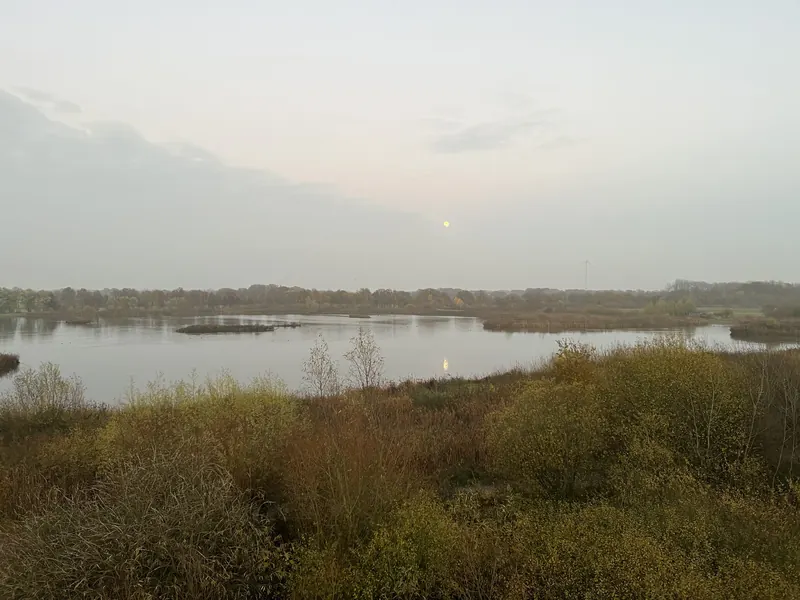 Die Rieselfelder