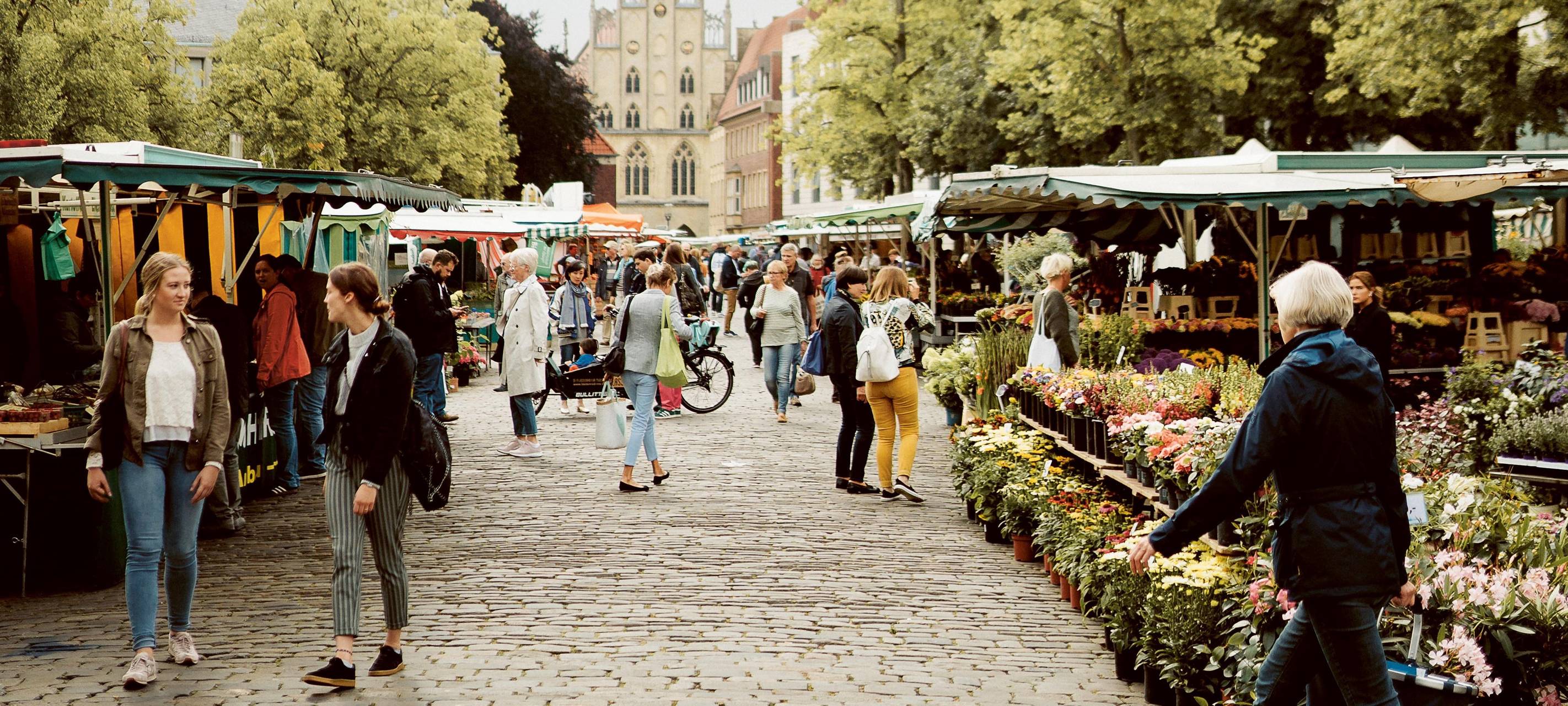 Wochenmarkt am Dom, Münster