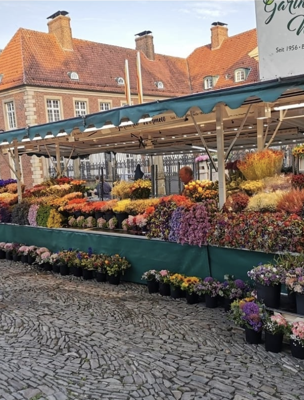 Frisches Obst und Gemüse